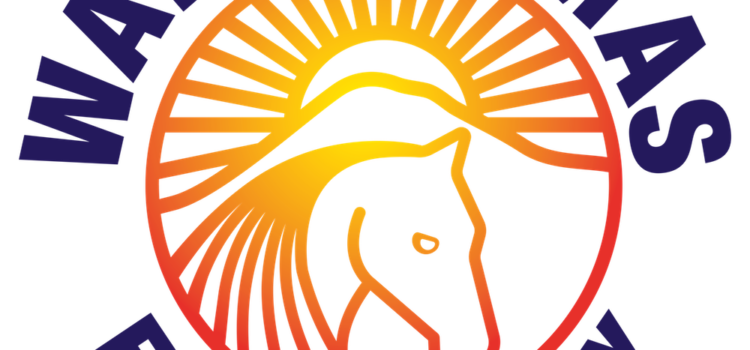 New Spirit Wear Shop is Open! New Spirit Wear Shop is Open!
